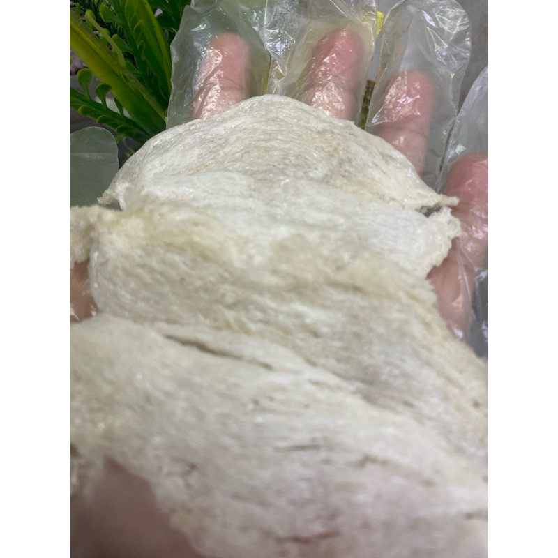 

sarang burung walet patahan gede bersih alamin