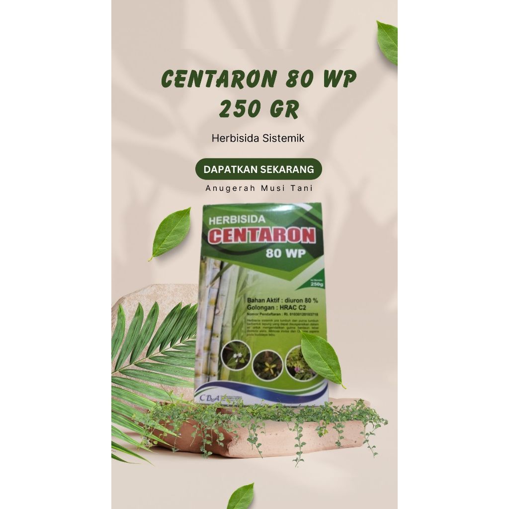 Centaron 80 WP (250 g) - Herbisida
