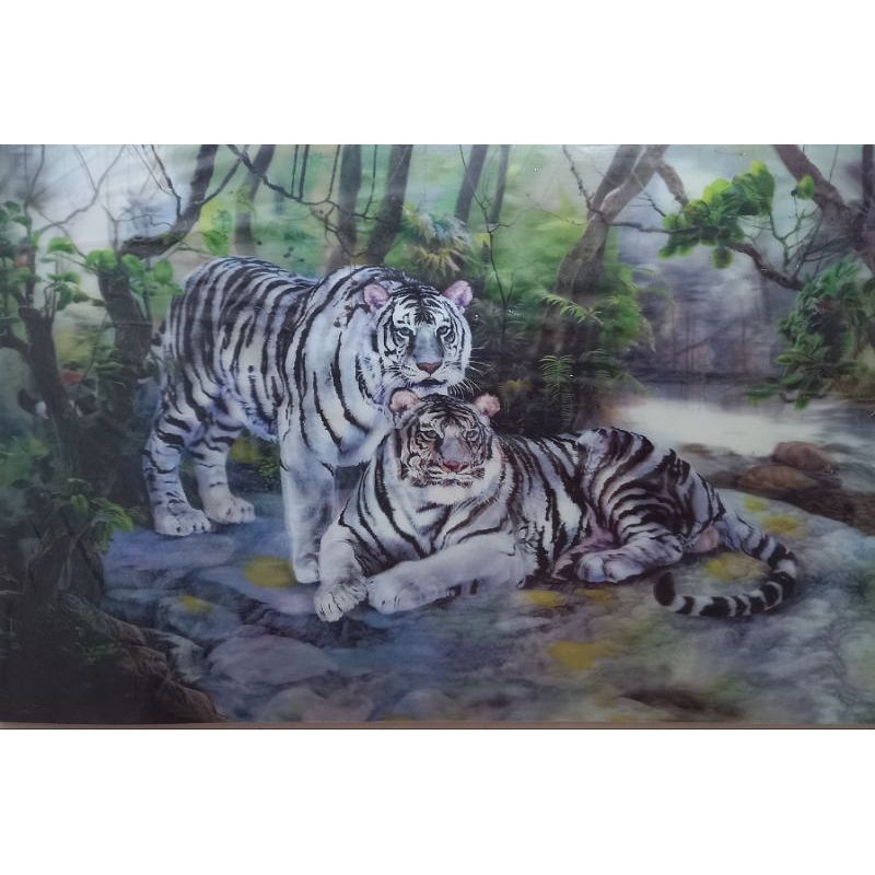 Foto hiasan dinding 3 dimensi - tanpa bingkai