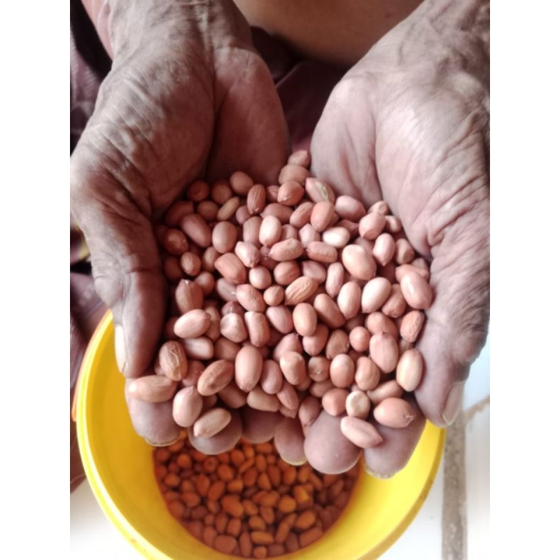 

Kacang Tanah Mentah Asli Madura 1kg