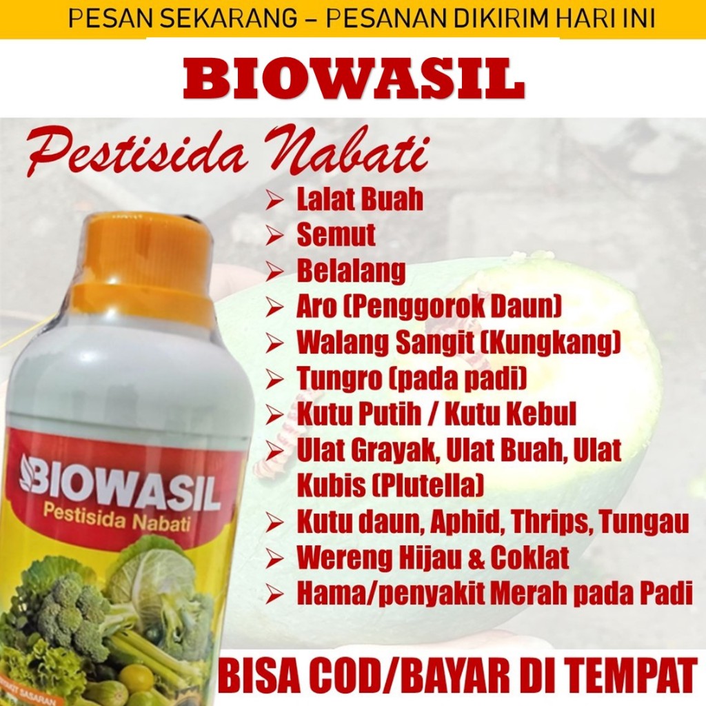 Pestisida BIOWASIL - Obat Hama Wereng Padi, Penyakit Merah Padi, Walang Sangit Padi/Sawah, Ulat Gray
