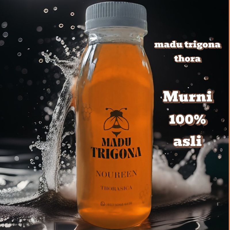 

Madu Galo Galo bukittinggi (thorasika) bukan itama