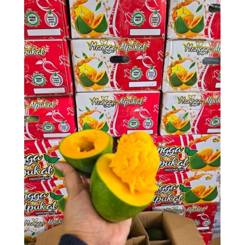 

Mangga Alpukat 1 dus 5kg - Mangga manis - Mangga alpukat termurah - mangga alpukat jakarta