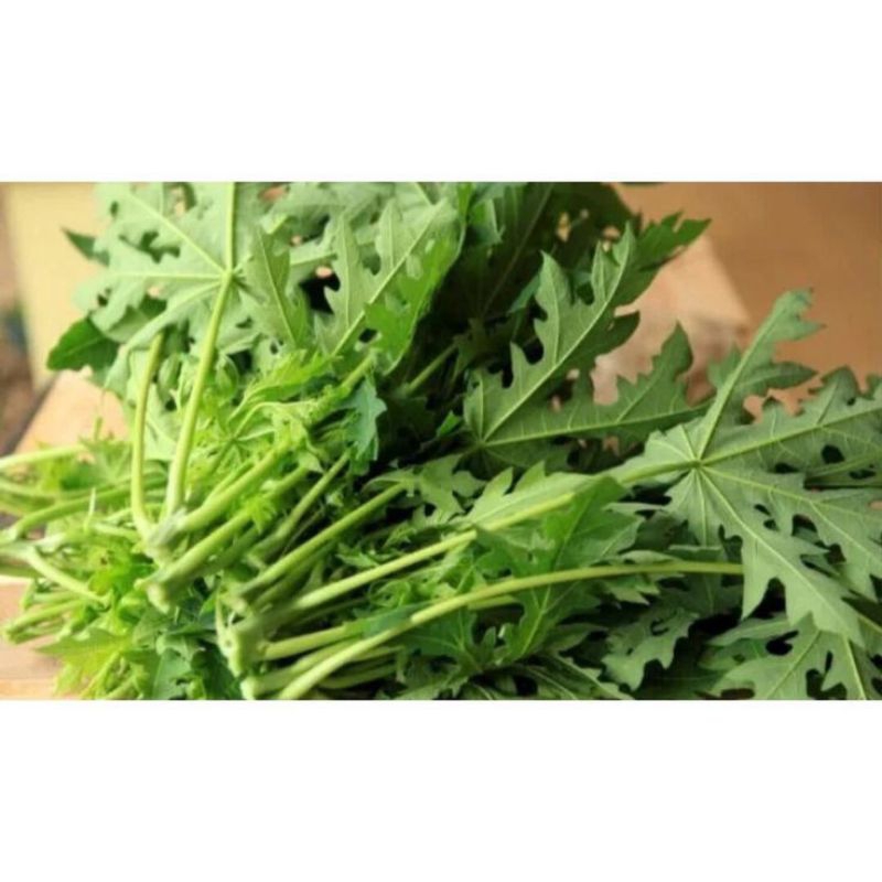 

daun pepaya muda / godong kates / lalapan segar / obat herbal -+300gram