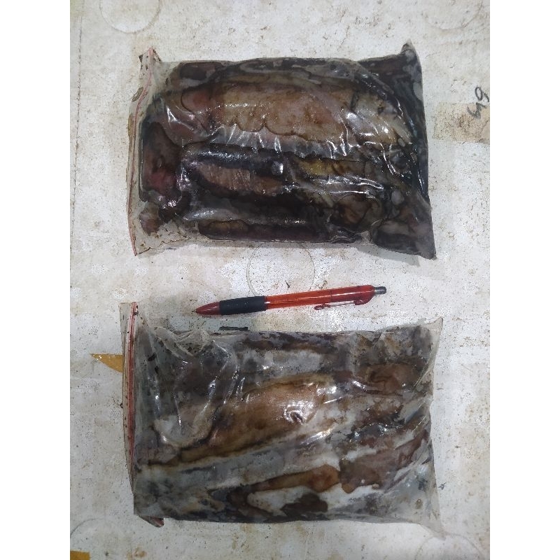 

cumi karang kemasan 1000gr