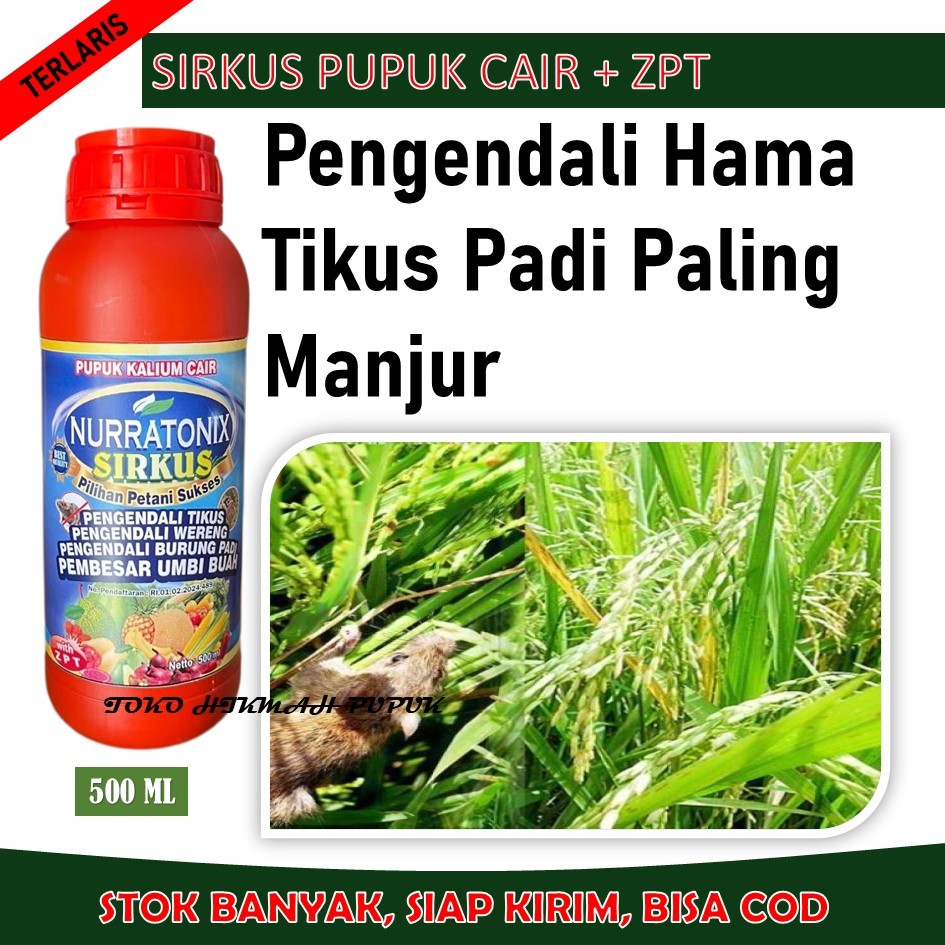 TERLARIS Pupuk Cair Semprot 500 Ml NURRATONIX SIRKUS Pengusir Hama Tikus Di Sawah Paling Manjur Dan 