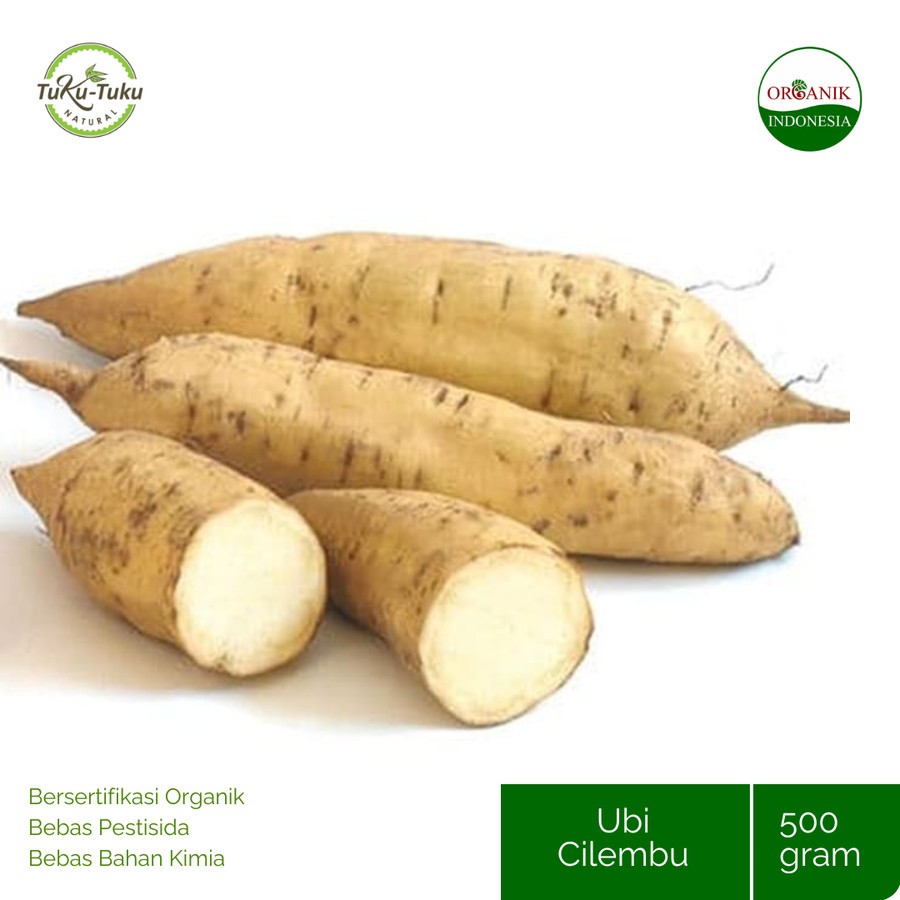 

PAY 2 GET 3 Ubi Putih/Cilembu BSP 500 gr
