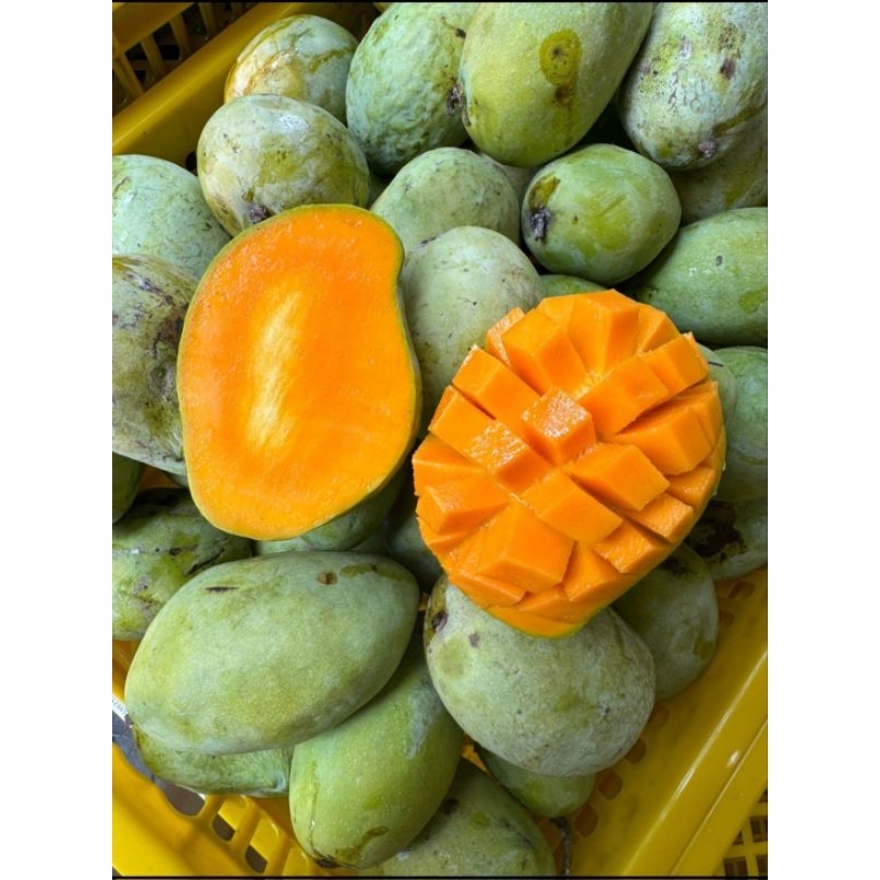 

MANGGA INDRAMAYU 1KG INSTAN
