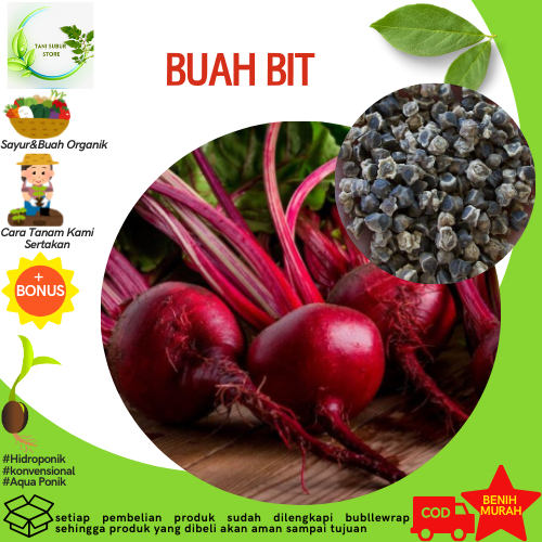 BENIH BUAH BIT F1 AYUMI BEETROOT REPACK ZIPLOCK ISI 20 BIJI