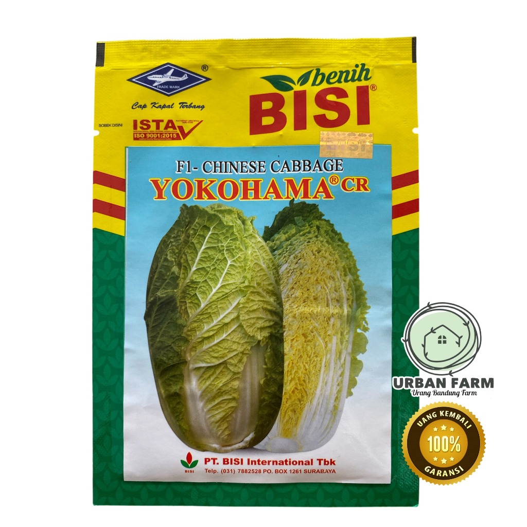 BENIH SAWI PUTIH F1 YOKOHAMA 10gram - Benih Sawi Pecay BISI Cap Kapal terbang