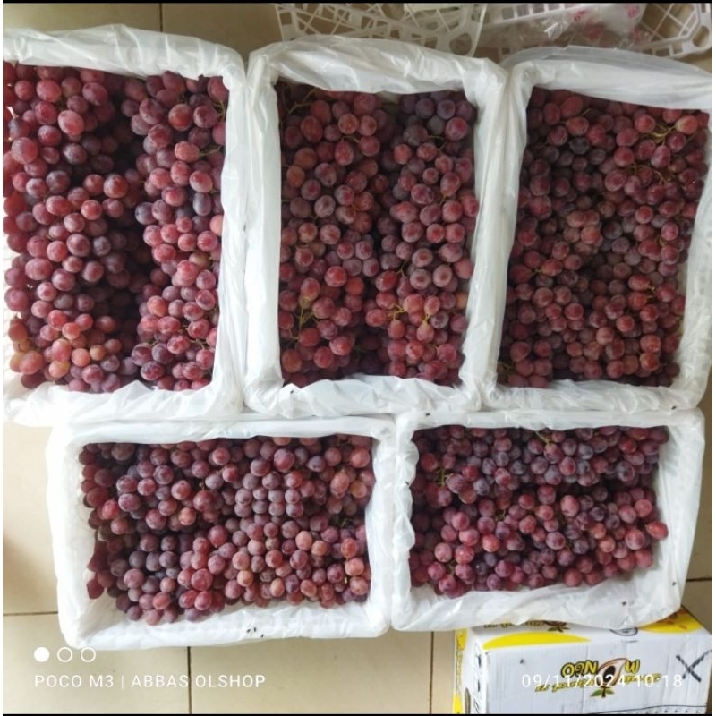 

Anggur read globe manis fresh 1kg