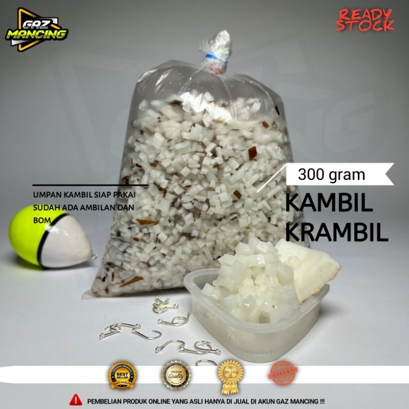 Umpan kambil untuk ikan bawal jitu