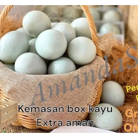 

Telur bebek mentah langsung dari kandabg GRATIS kemasan extra aman