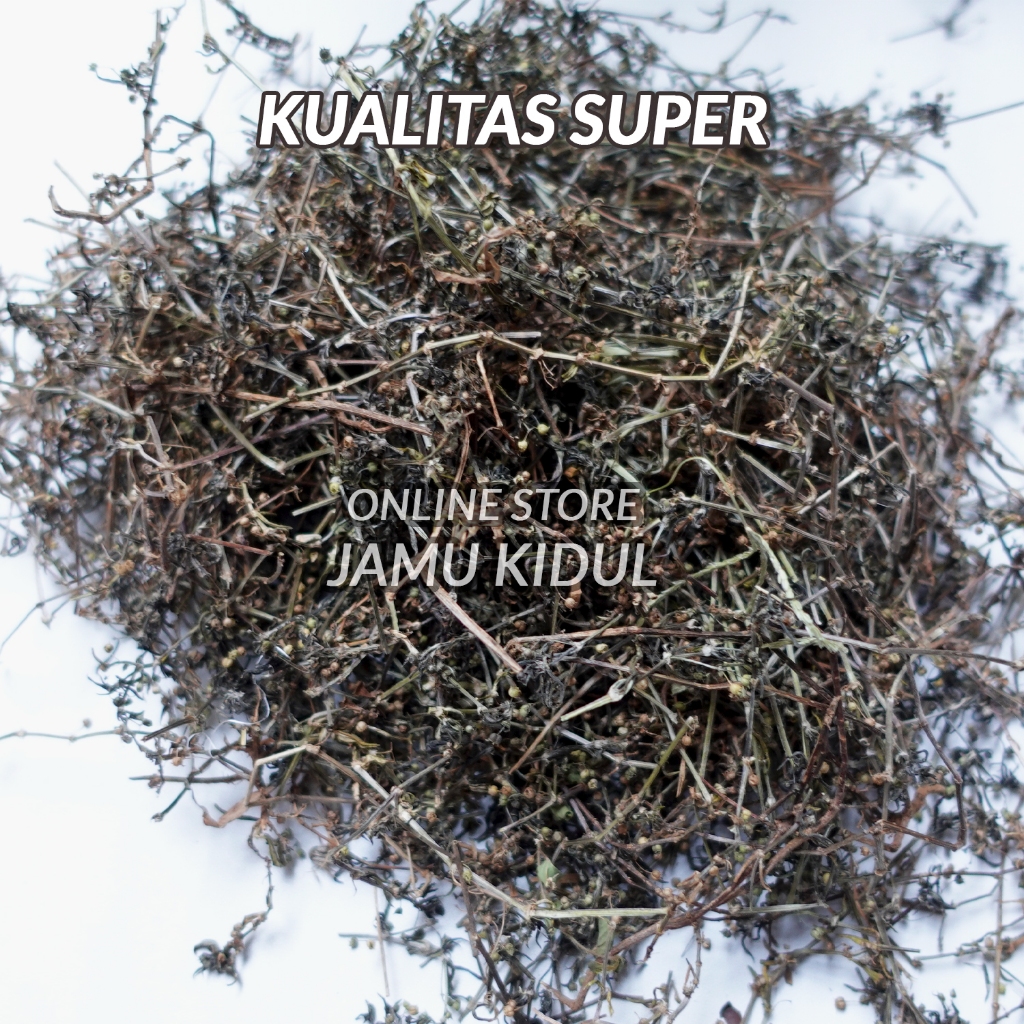

Rumput Mutiara Kering 1kg Organik Grade A