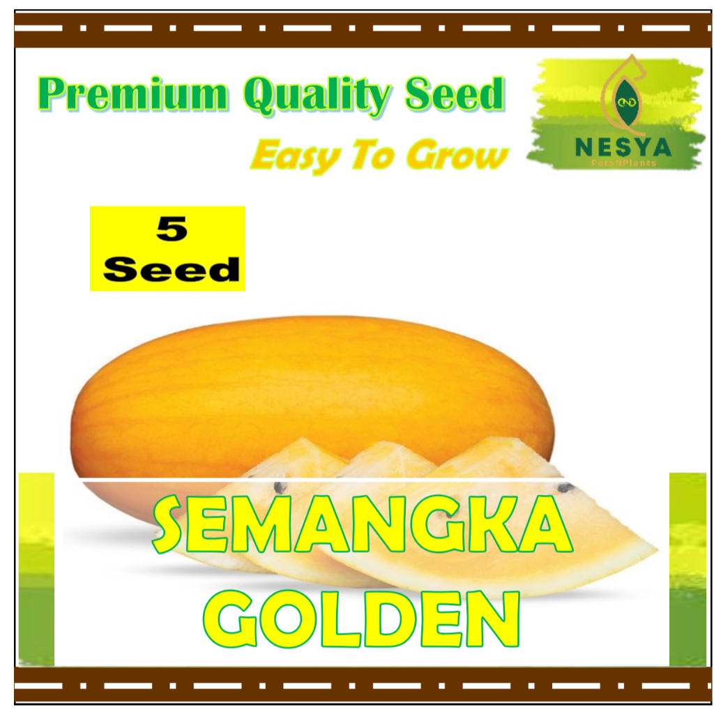 5 Biji Benih Semangka Golden Buah Semangka Golden Leoni
