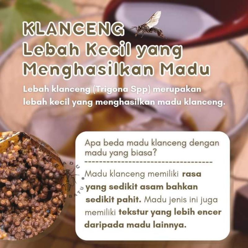 

Maknyuss1 Paket Hemat Madu Hutan Super Organik Netto 850 Gr Botolkaca