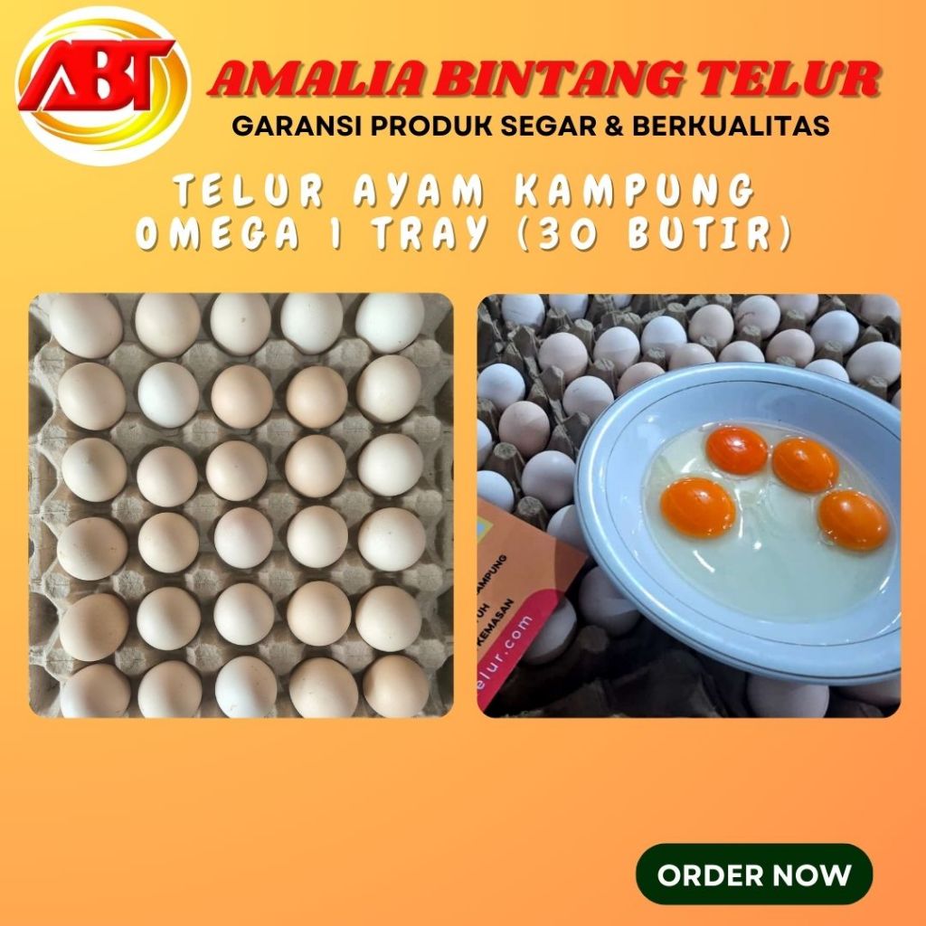 

ABT - 30 Butir Telur Ayam Kampung Omega isi orange 1 Tray