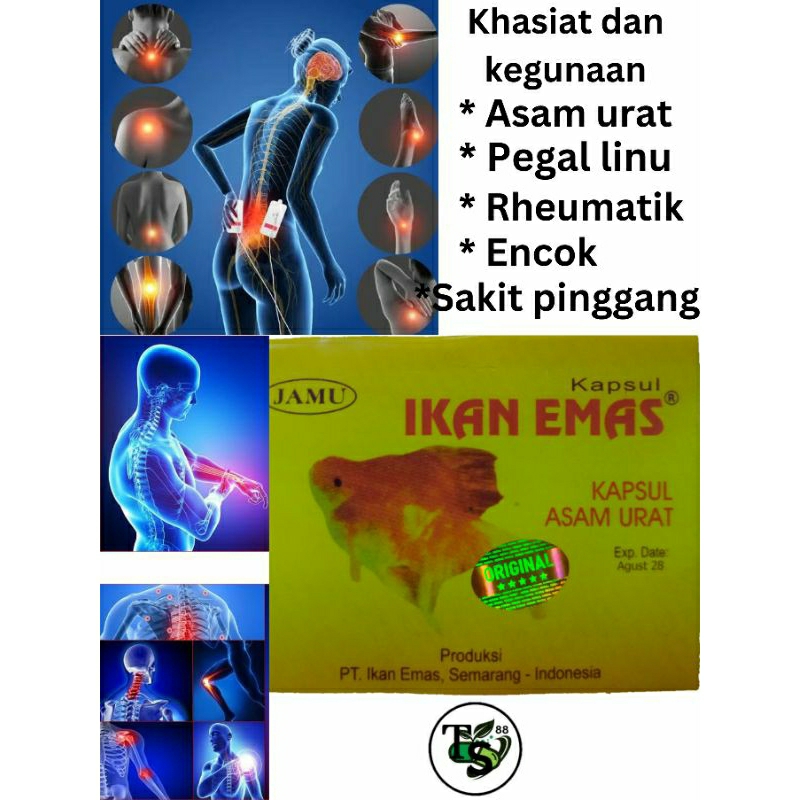 Obat reumatik dan asam urat cap ikan mas manjur