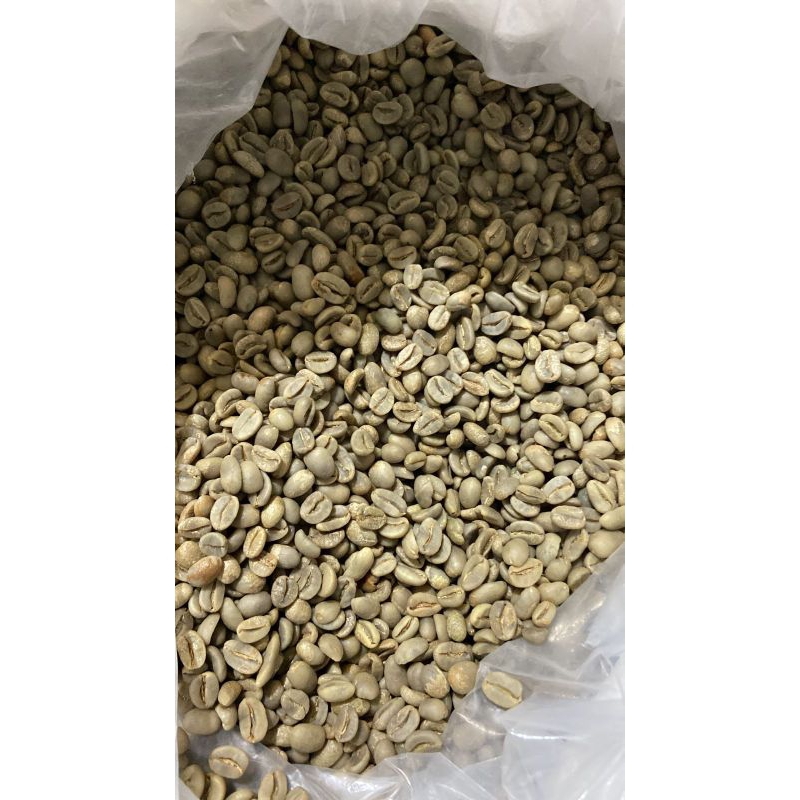 

GREAN BEAN KOPI ARABICA GAYO HANEY PROSES