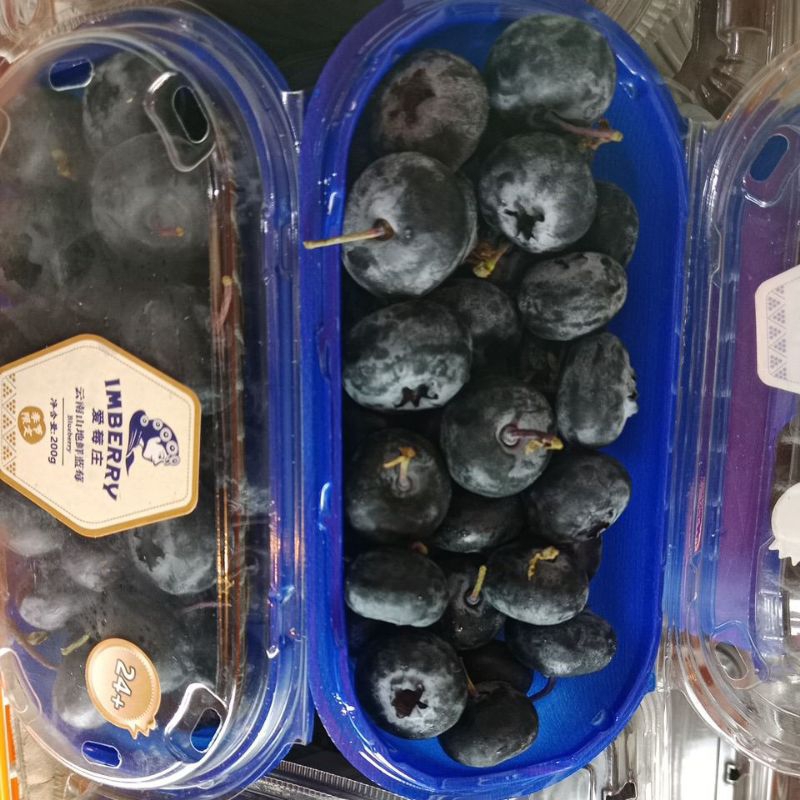 

blueberry jumbo maniss 105/ pack