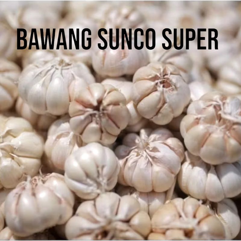 

Bawang putih Sinco Grade A, 300g, cocok untuk dimasak. Bersertifikat HALAL, cocok untuk semua kebutuhan diet & cocok juga buat bumbu dapur