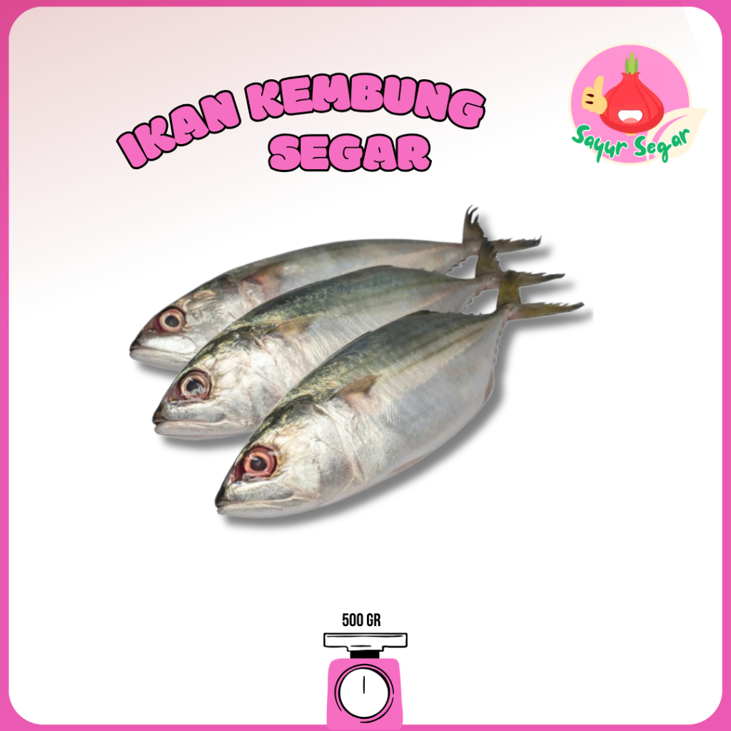 

Sayur Segar - Ikan kembung Banjar Segar 500 gr / Banjar Mackerel