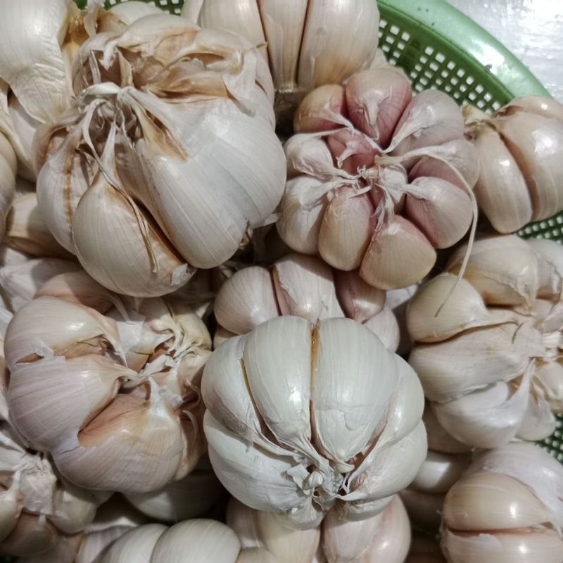 

Bawang Putih 1kg