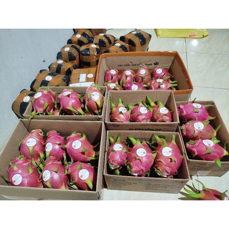 

buah naga putih(manis) berat 5.KG