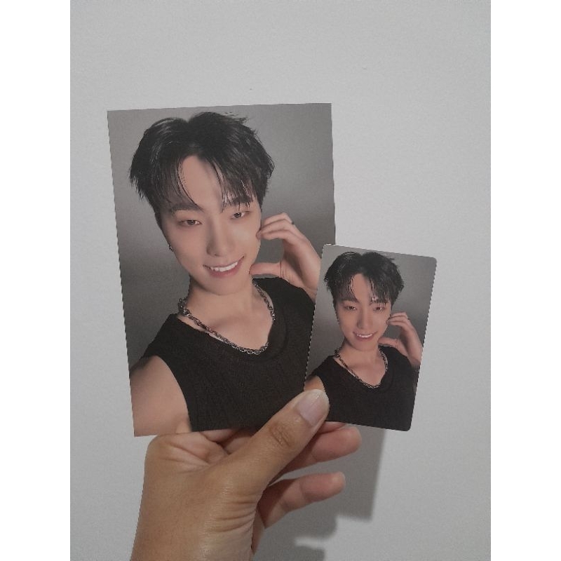 POSTCARD PHOTOCARD SET DINO SEVENTEEN/POB ALBUM SEVENTEEN