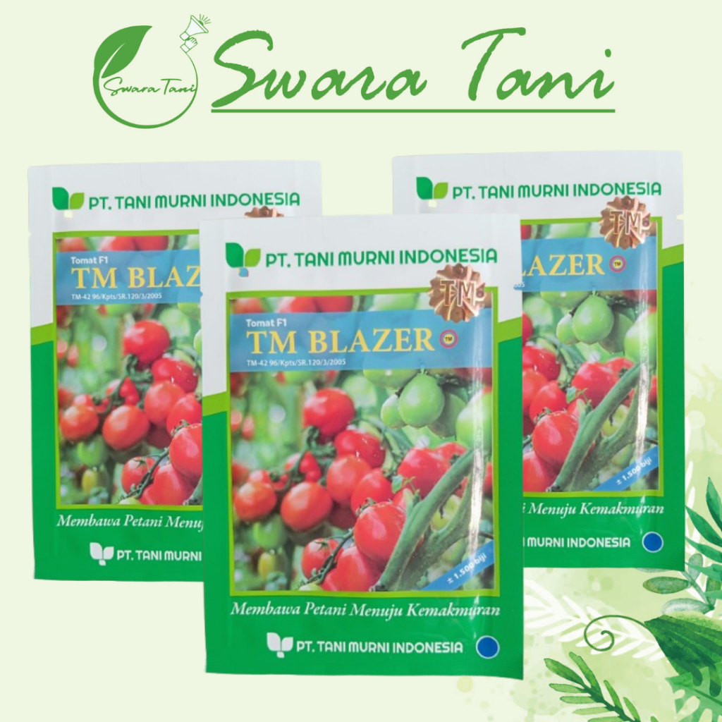 Benih Tomat F1 TM BLAZER 1.500biji