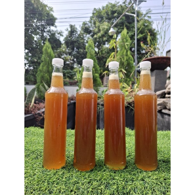 

MADU CERANA LOKAL "Golden NeCtar" PREMIUM QUALITY 460 ml