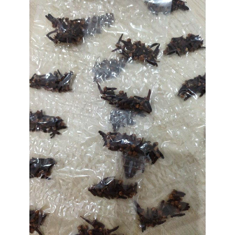 

Cengkeh rempah nusantara clove