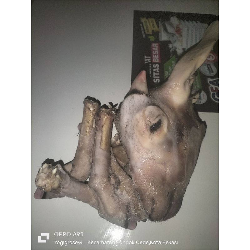 

kepala kambing 1pcs Sepasang kaki