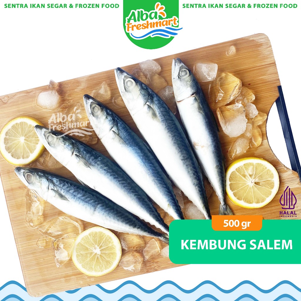

Ikan Salem / Ikan Mackerel / Ikan Makarel 500gr Seafood Premium