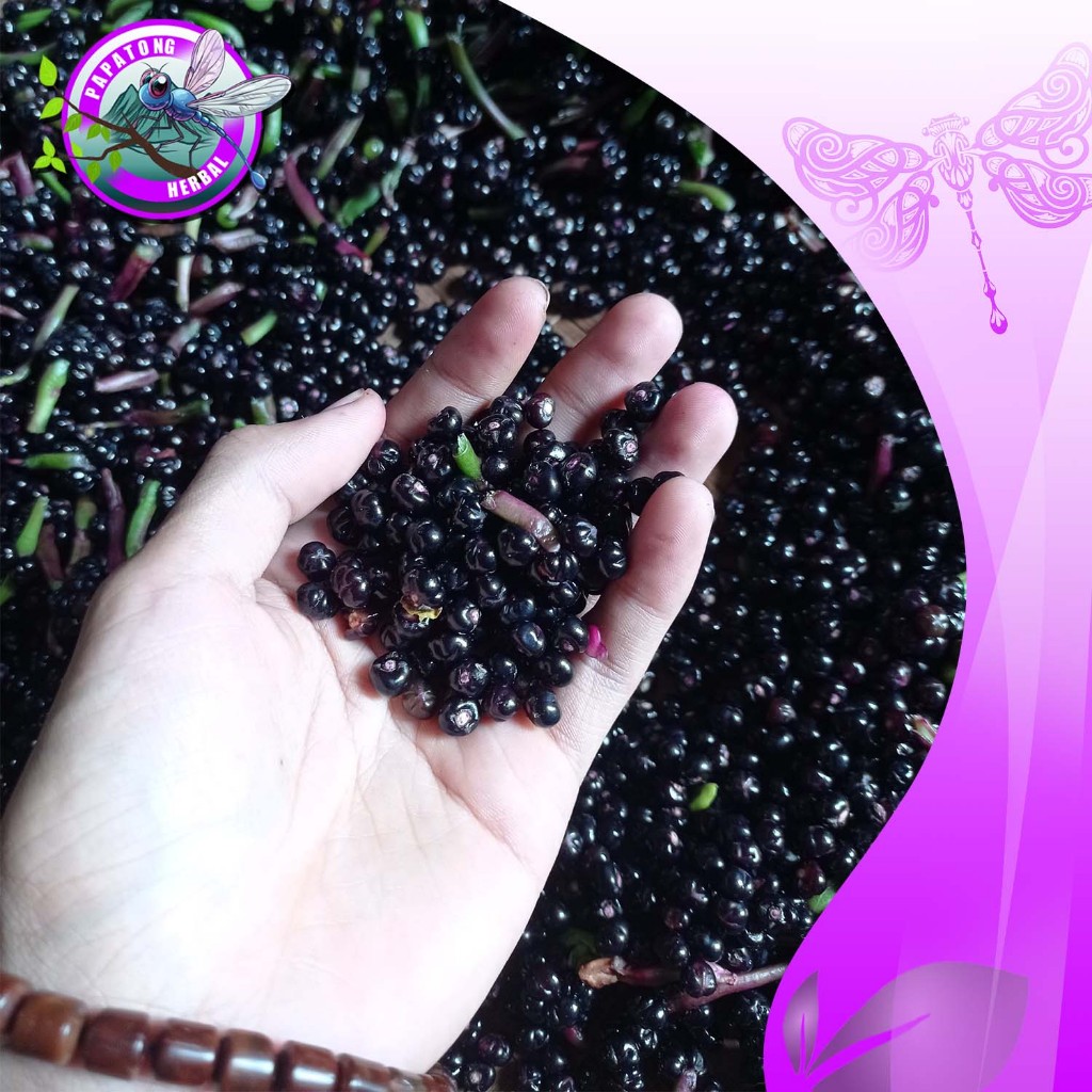 

BUAH ANGKUNG SEGAR OBAT SETRUK ALAMI + BUBBLE - PAPATONG HERBAL