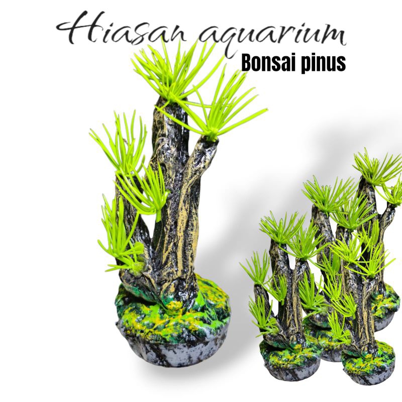 Hiasan ornamen dekorasi Aquarium aquascape Bonsai pinus