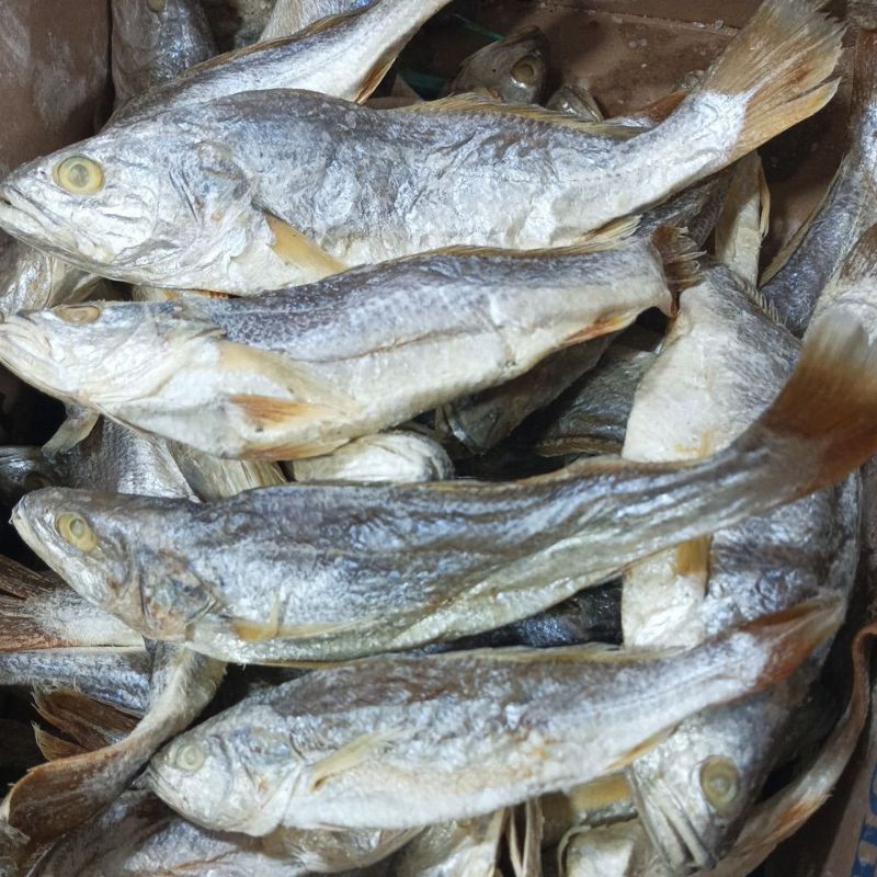 

Ikan Asin Sangge Medan