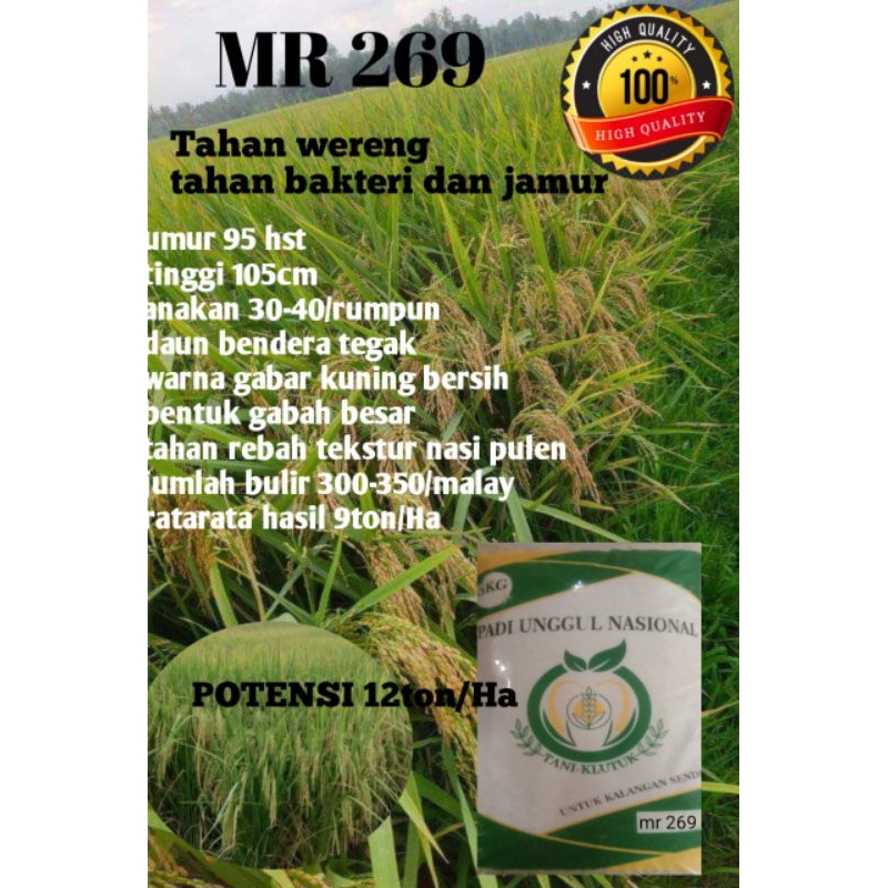 BENIH PADI MR 269 kemasan 5kg