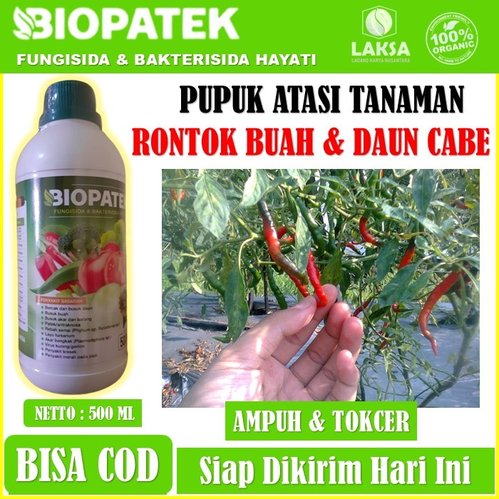 BIOPATEK FUNGISIDA BAKTERISIDA HAYATI Pupuk Organik Atasi Busuk & Rontok Daun Cabe/Cabai - Obat Semp