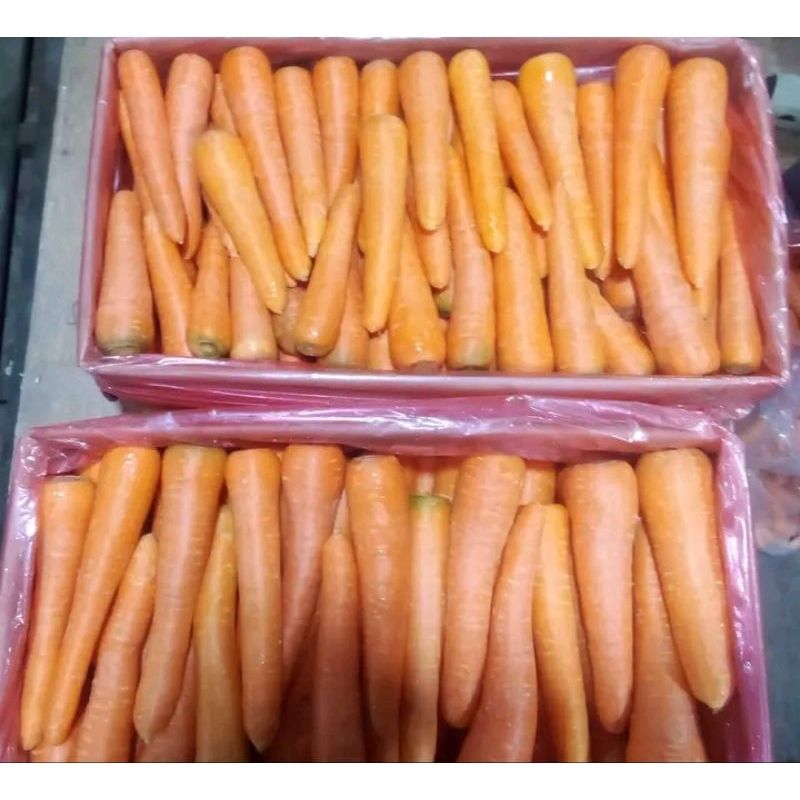 

wortel Dieng (500gr)