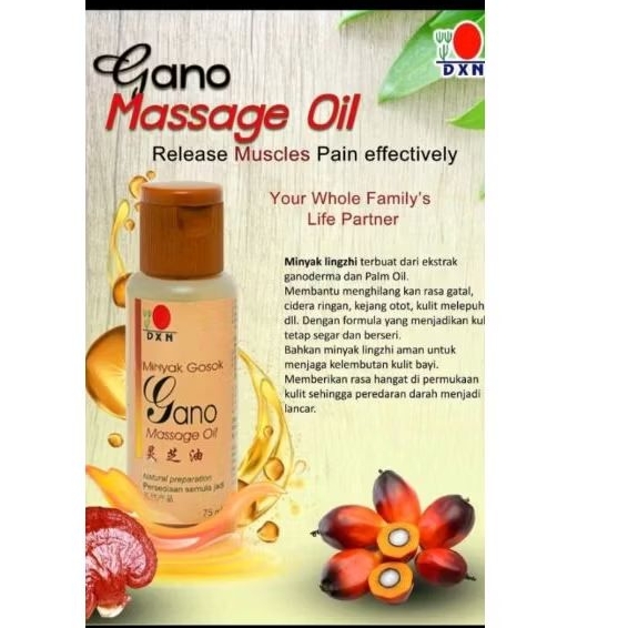 Gano Massage Oil
