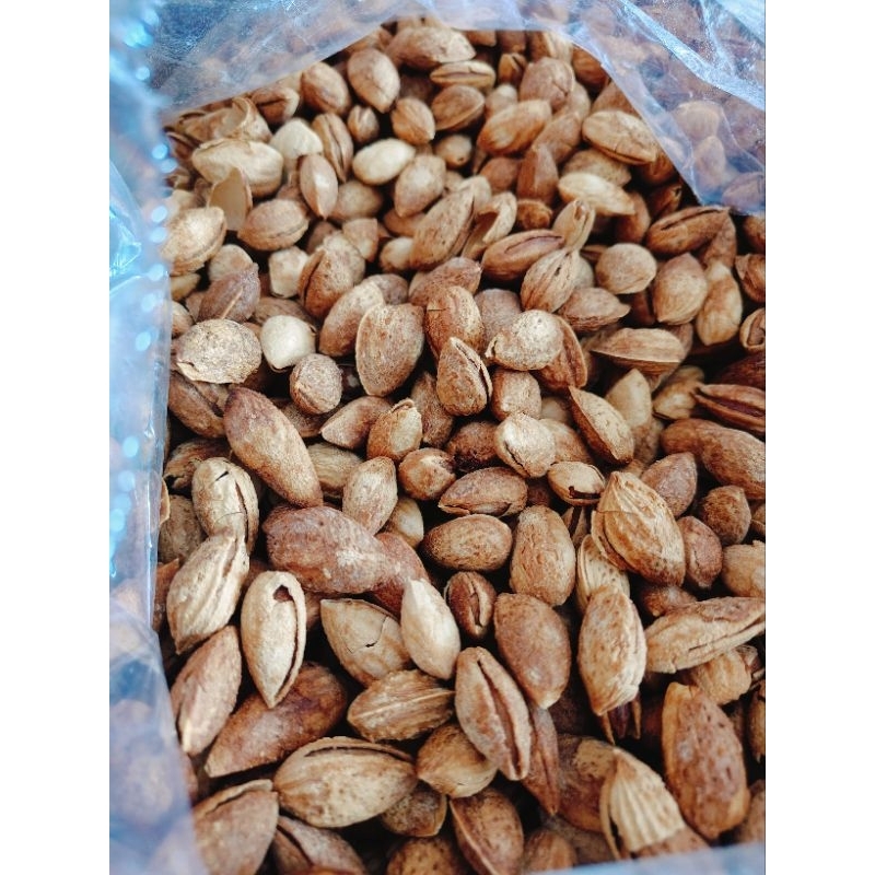 

kacang almond cangkang