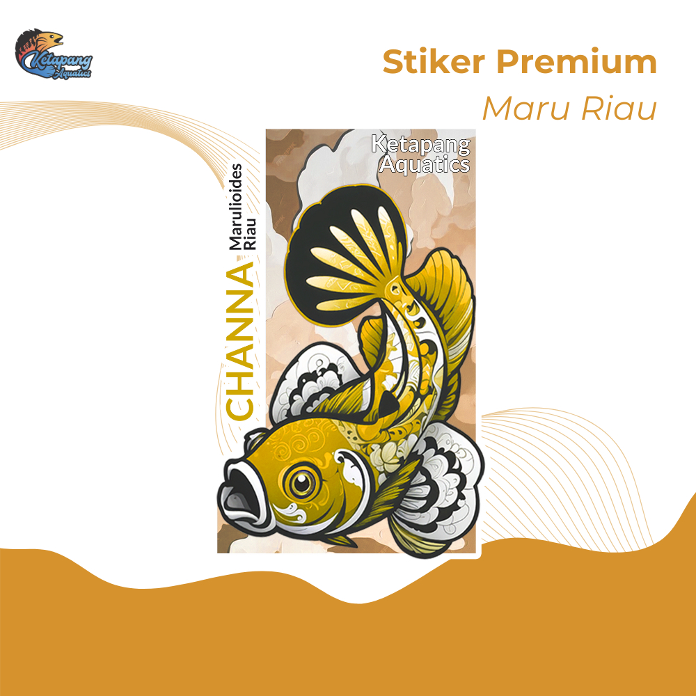 KETAPANG AQUATICS | PREMIUM STIKER MARU RIAU & YELLOW SENTARUM