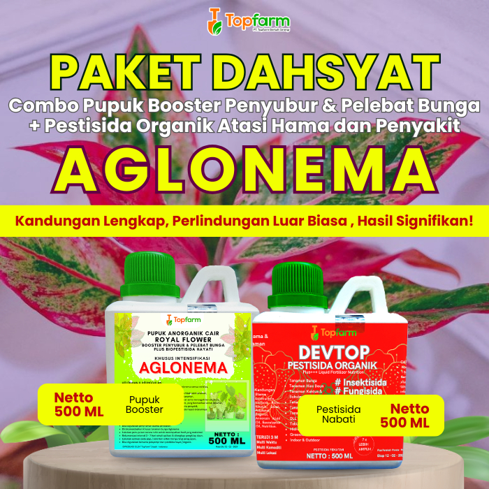 Pupuk Topfarm / Pestisida Topfarm / Pupuk Dan Obat Tanaman Aglonema / Pupuk Bunga Aglonema 1 Paket /