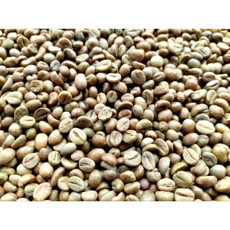 

Sunda Wangi - Green Beans Biji Kopi Robusta Grade1 - 1Kg (Gratis Ongkir)