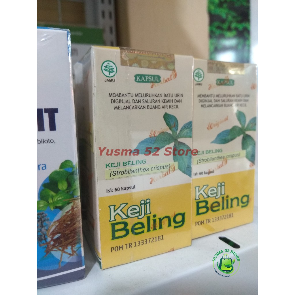 

Kapsul Daun Ekstrak Keji Beling - Meluruhkan Batu Urin