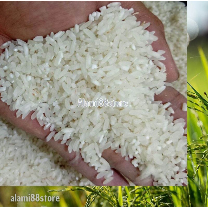 

Beras "Murni Tani" Pulen - 1KG