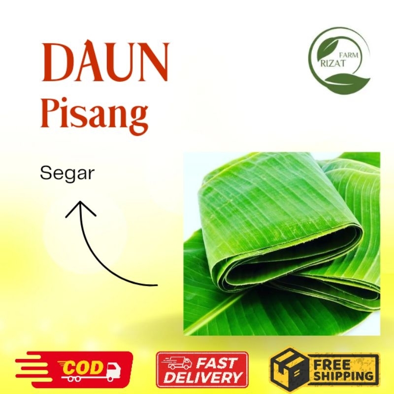 

[Dikirim Instant] Daun Pisang Segar