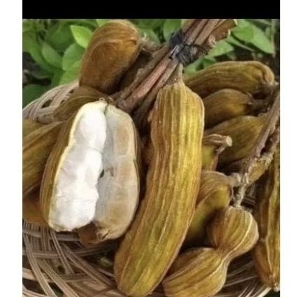 

buah salju per kg