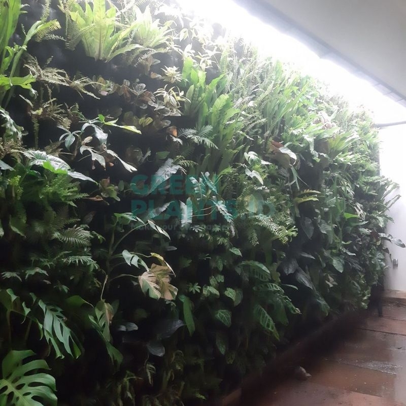 Jasa Taman Vertical garden